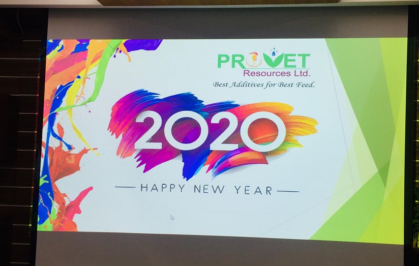 Celebration of New Year-2020